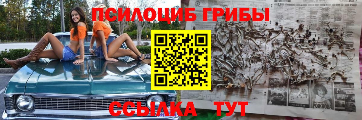Галлюциногенные грибы Magic Shrooms  Вход с VPN  цена   Киров 